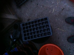 Propagator Tray